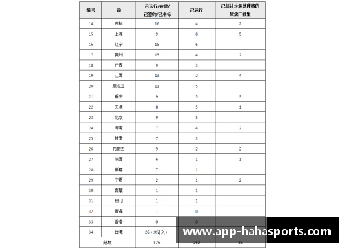 河南2017年球员盘点及表现分析